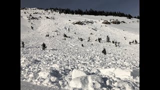 Avalanche near Ross Peak  7 Jan 2019 [upl. by Essilec]