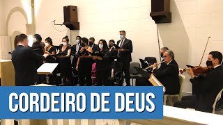 Cordeiro de Deus  Música para missa [upl. by Llerut465]