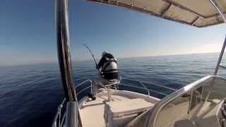 Drifting al Tonno Rosso in Sicilia TUNA FISHING [upl. by Acirderf]