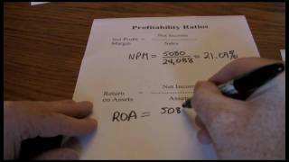 Financial Ratios  Profitability [upl. by Einotna]