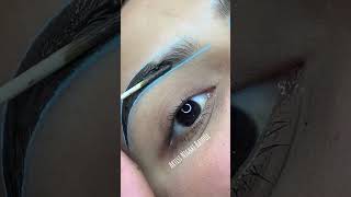 eyebrow laminationtint tutorial brows eyebrowlamination shorts viral [upl. by Giulio569]