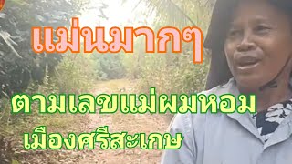 แม่นมากๆ แม่ผมหอมหมายเลข ตามต่องวด 1 เมษายน 67 [upl. by Buyer]