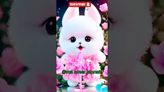 Piche Piche cuts cat video Naat 😈 cute short youtubeshorts islam catsstyle love status [upl. by Ranilopa]