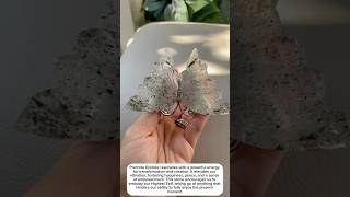 prehnite epidote butterfly s  crystal if interested click bio crystalshop crystals [upl. by Fernandez]