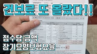 건강보험 지역가입자 건보료 2023년 1월 또 오른다 부과점수당 금액 장기요양 보험요율 인상 [upl. by Kasevich997]