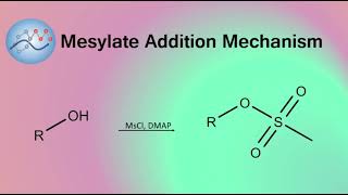 Adding Mesylate Group Mechanism  Organic Chemistry [upl. by Selyn86]