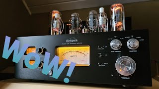 WOW TUBES LM 845 Premium by Line Magnetic SET Integrated Amp  Denafrips Terminator R2R DAC Part 1 [upl. by Warrenne]