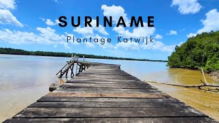 Hidden Gem in Suriname  PLANTAGE KATWIJK  short Film  TravelPeter [upl. by Latin]