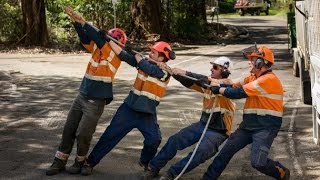 Slow Motion Tree removal Work with Husqvarna chain saw Ace Tree [upl. by Marino]