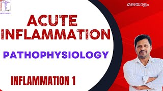 Inflammation Malayalam Acute Inflammatory Response Pathophysiology Malayalam Events of Inflammation [upl. by Vanthe]