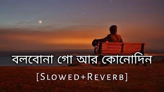 Bolbo Na Go Ar Kono Din  Slowed And Reverb  Baul Sukumar  Bengali Lofi Song  10 PM BENGALI LOFI [upl. by Onivag]