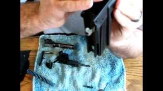 Sig Pro SP2340 SP2022 Assembly Sauer Short Trigger Disassembly Removal Installation 2 [upl. by Dorin]