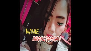 JURANG PAMISAH  RABAB KACANG MANOGE 2  RIL FEAT WANIE [upl. by Arrol]