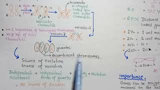 Crossing Over Linkage And Recombination Frequency [upl. by Nelyk608]