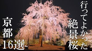 【京都桜の歩き方】おすすめ16選と絶景に出会える桜の攻略法解説付き 見頃 混雑  穴場 見どころ 旅行 観光  Thecherry blossoms spots of Kyoto [upl. by Ahsiakal]