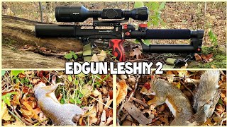 Squirrel Hunting  EDgun Leshiy 2  First Hunt Double Headshots [upl. by Margreta]