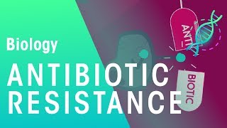 Antibiotic Resistance  Health  Biology  FuseSchool [upl. by Oiramd]