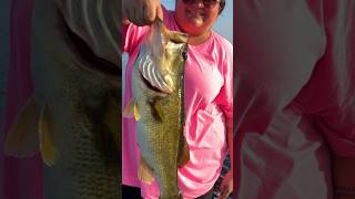 Fishing Lake Okeechobee [upl. by Aeslek]