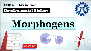 Morphogens  French flag model  Morphogens in Dvelopmental biology  Paracrine factors [upl. by Laud]