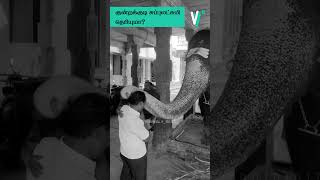 கடவுள் இருக்காரா இல்லையா trending kundrakudi elephantdeath facts [upl. by Ira]