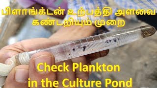 பிளாங்க்டன் உற்பத்தி அளவை கண்டறியும் முறைAFC Activaor Check Plankton in a Culture Pond [upl. by Aihc490]