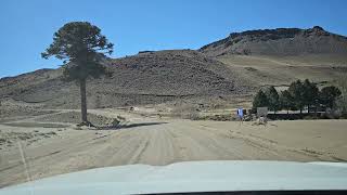 Neuquen ruta 13 Villa Pehuenia a Primeros pinos [upl. by Aerdno218]