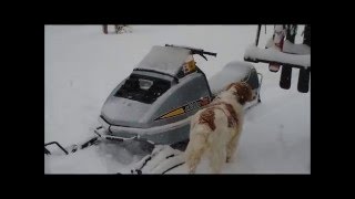 Snowmobiling Ski Doo Silver Bullet [upl. by Cly716]