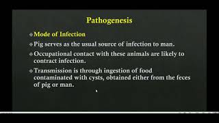 Balantidium coli  Ciliate dysentry [upl. by Naejamron732]