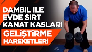 Dambıl ile Evde Sırt Kanat Kasları Geliştirme Hareketleri [upl. by Bihas]