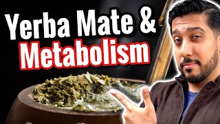 Yerba Mate for Beginners  Does Yerba Mate Promote Visceral Fat Loss [upl. by Ssur282]