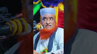 ২ টাকার মমতাজ। বজলুর রশিদ। Bozlur Roshid 2024। Bazlur Rashidshorts reels [upl. by Aiblis315]