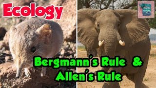 Bergmanns Rule and Allens Rule in Bengali ecology [upl. by Florette]