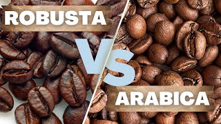 The Difference Between ARABICA and ROBUSTA  The Two Best Friends that Hate Each Other [upl. by Sumedocin74]