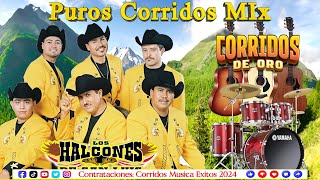 Puros Corridos Mix  Corridos De Oro  Los Halcones De La Sierra Exitos 2024 [upl. by Oisorbma]