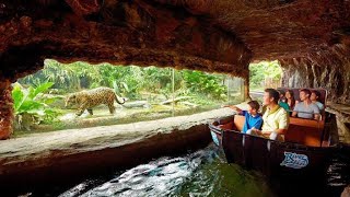 Singapore River Safari Amazon River Quest  Singapore Zoo  2018 [upl. by Kylen943]