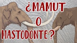 ¿Mamut o mastodonte  Y cuál es la diferencia [upl. by Jorin613]