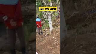 Jalur reco kidang [upl. by Amelus]