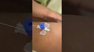 IV cannula insertiondoctornursingmotivationviralvideoshortvideo [upl. by Columbus71]