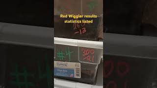 Red Wiggler numbers and statistics 😁 vermiculture shorts [upl. by Hardden]