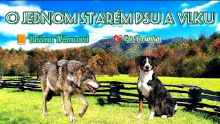 O jednom starém psu a vlku [upl. by Emmet705]