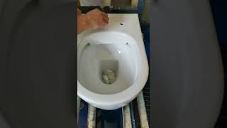 Rimless toilet paper flush test [upl. by Ravid]