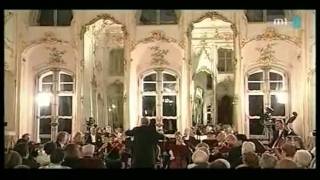 Haydn Symphony Nº45 Hob I49 F minor La Passione 14 Adagio [upl. by Smitt475]