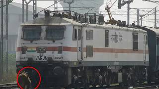 RARE  Cow stops train Driver shouts to shoo it away  INDIAN RAILWAYS [upl. by Ferna160]