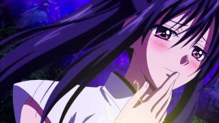 ハイスクールDxD mad動画 [upl. by Ailegra]