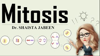 Mitosis I Cell Division I Complete Process of Mitosis I Learn How Your Cells Divide and Grow [upl. by Maxi556]