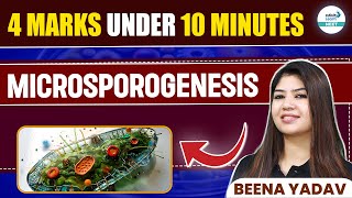 Microsporogenesis Made Easy  NEET 2025 Biology  4 Marks Under 10 Minutes [upl. by Gaylene]