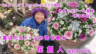 葉ボタンドームまん丸寄せ植えマウント【ギャザリング寄せ植えの作り方】1時間6分55秒／花創人ガーデニング教室20161221 [upl. by Idna556]