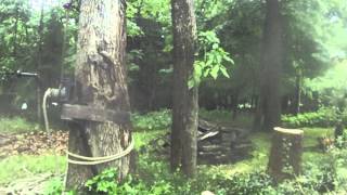 Rigging Whole Tree with the GRCS TreeStuffcom Tech Tips [upl. by Rory791]