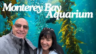 Aquatic Wonders Unleashed Monterey Bay Aquarium Adventure 🌊🐠 [upl. by Yared]