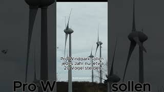 Wie gefährlich sind Windräder für Vögel [upl. by Selima]